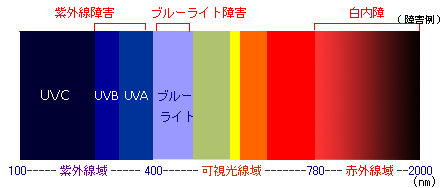 炷ڂւ̉e