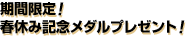 ԌI
tx݋LO_v[gI